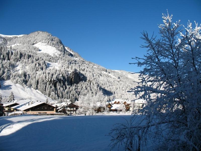 Zimmer & Appartements Schwarzenbacher Sonja & Konrad Kleinarl Buitenkant foto